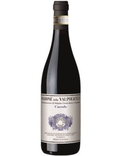 Vini online Cavolo Amarone Valpolicella - Brigaldara