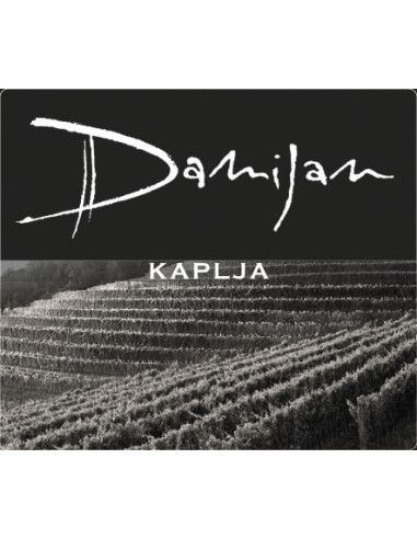 Vini online Kaplia Bianco - DAMIJAN PODVERSIC