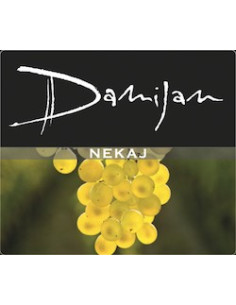 Vini online Nekaj - DAMIJAN PODVERSIC 2