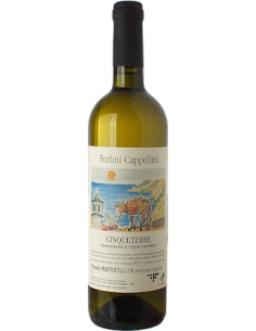 Vini online Cinqueterre - Forlini Cappellini