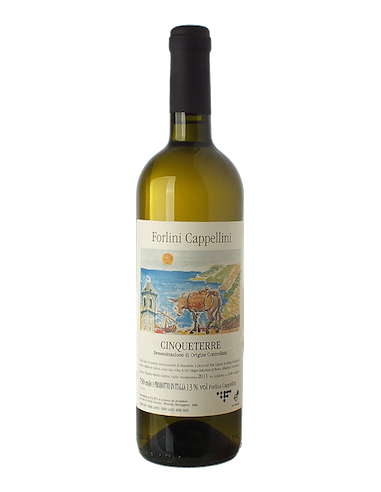 Vini online Cinqueterre - Forlini Cappellini
