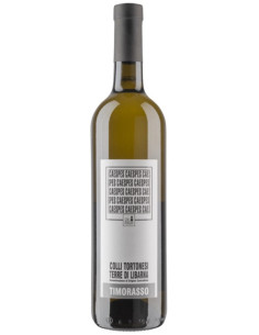 Vini online Timorasso Caespes - Poggio