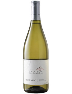 Vini online Pinot Nero Vinificato Bianco Frizzante - Calatroni