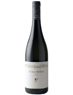Vini online Capri Bianco 2020 - Scala Fenicia