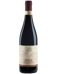 Vini online Albasini Amarone (2017) Valpolicella - Villa Spinosa
