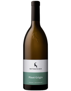 Vini online Pinot Grigio - Rottensteiner