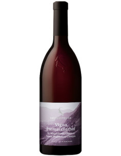 Vini online St. Magdalener Classico Vigna Premstallerhof - Rottensteiner