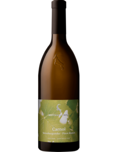 Vini online Carnol Pinot Bianco - Rottensteiner