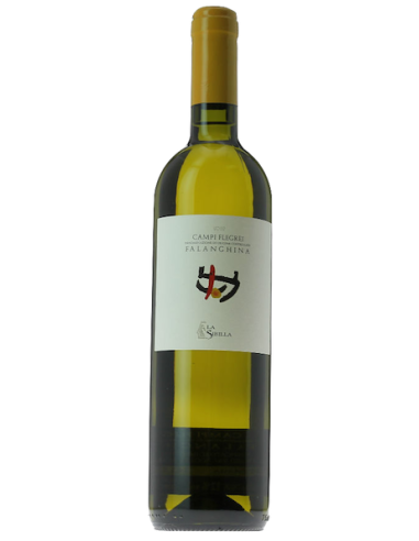 Vini online Falanghina Campi Flegrei - La Sibilla