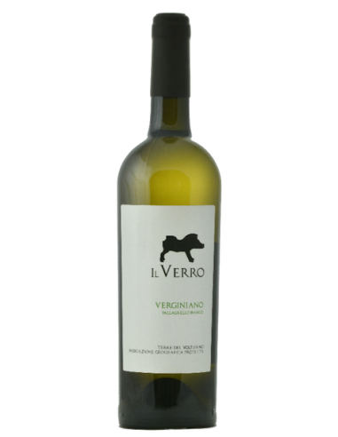 Vini online Pallagrello Bianco Verginiano - Il Verro