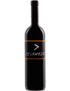 Vini online Cesanese  Metodo Ripasso - L'olivella