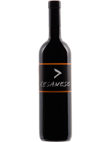 Vini online Cesanese  Metodo Ripasso - L'olivella