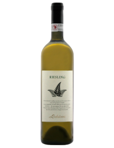 Vini online Riesling Renano Oltrepò Pavese Campo Dottore - Calatroni