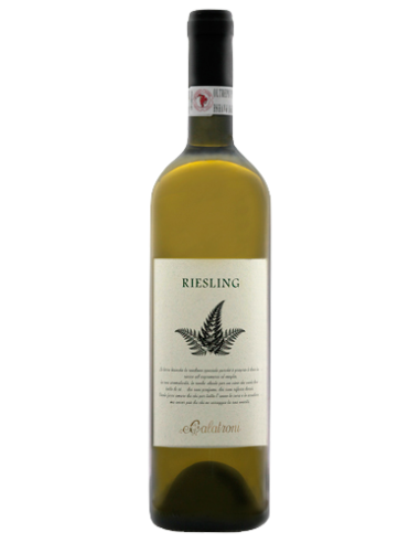 Vini online Riesling Renano Oltrepò Pavese Campo Dottore - Calatroni