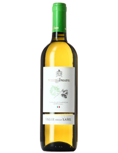 Vini online Verdicchio Castelli Jesi Classico Valle Delle Lame - Vignamato