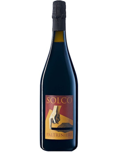 Vini online Lambrusco Emilia Solco - Paltrinieri