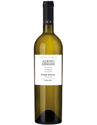 Vini online Pinot Grigio Corvara - Albino Armani