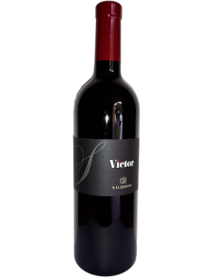 Vini online Victor - Salizzoni