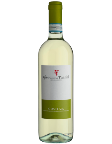 Vini online Custoza - Tantini