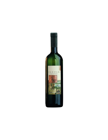 Vini online Falanghina Sannio Vandari -Venditti