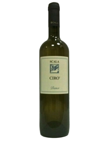 Vini online Cirò Bianco - Luigi Scala
