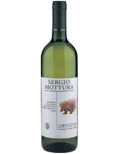 Vini online Orvieto Secco Tappo Vite - Mottura