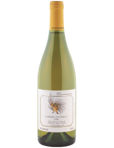 Vini online Grechetto Latour A Civitella - Mottura