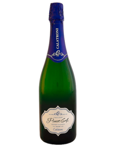 Vini online Pinot 64 Oltrepo' Pavese Pinot Nero Brut M.C. - Calatroni