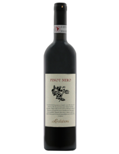 Vini online Pinot Nero Oltrepò Pavese Fioravanti - Calatroni