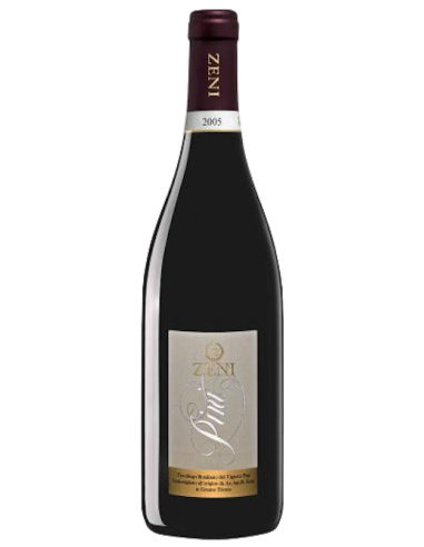Vini online Teroldego Rotaliano Pini -Zeni