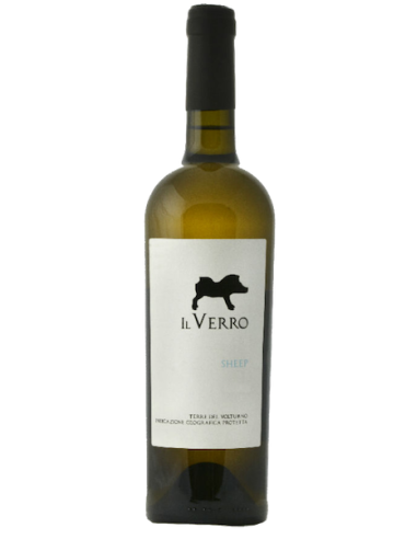 Vini online Coda di Pecora Sheep - Il Verro