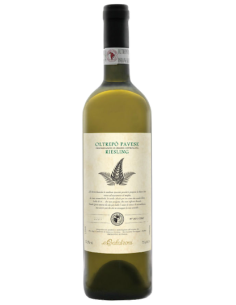 Vini online Riesling Renano O.P. Montecalvo - Calatroni