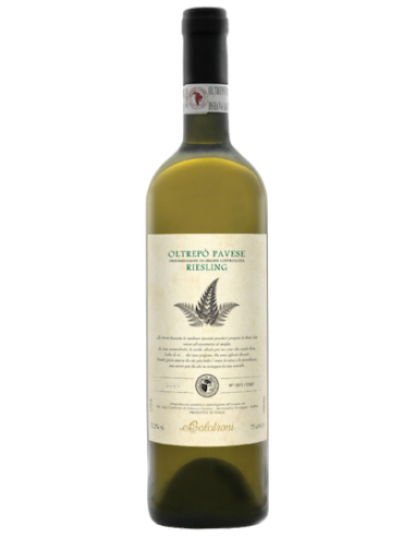 Vini online Riesling Renano O.P. Montecalvo - Calatroni