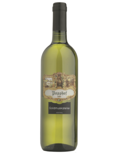 Vini online Moscato Giallo Secco - Popphof