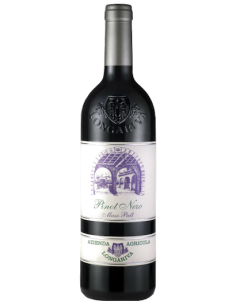 Vini online Pinot Nero Maso Palt - Longariva