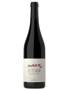 Vini online Settevigne Tintilia - Cipressi
