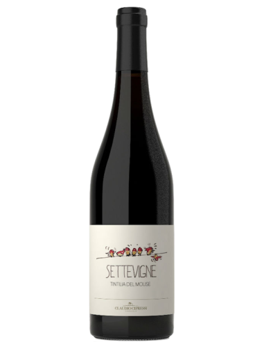 Vini online Settevigne Tintilia - Cipressi