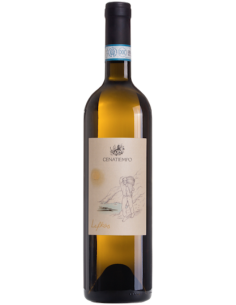 Vini online Lefkos - Cenatiempo