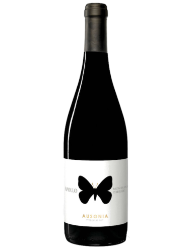 Vini online Apollo Montepulciano D'abruzzo Colline Teramane - Ausonia