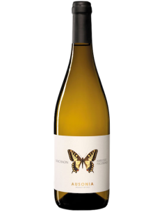 Vini online Pecorino Machaon - Ausonia