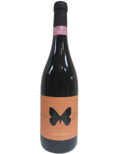Vini online Anfora Apollo Montepulciano D'abruzzo Colline Teramane - Ausonia
