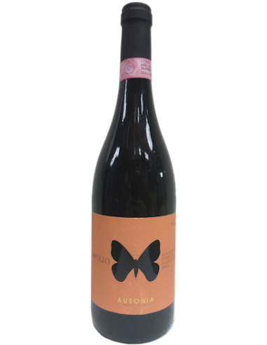 Vini online Anfora Apollo Montepulciano D'abruzzo Colline Teramane - Ausonia