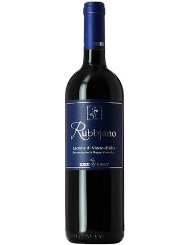 Vini online Lacrima di Morro D'alba Selezione Rubbjano - Piergiovanni Giusti