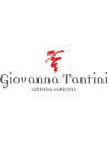 Giovanna Tantini